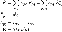 \hat{K} &= \sum_{p,q}^{} K_{pq} \ \hat{E}_{pq} = \sum_{p>q}^{} \kappa_{pq} \ \hat{E}_{pq}^{-} \\
\hat{E}_{pq}  &= \hat{p}^{\dagger} \hat{q} \\
\hat{E}_{pq}^{-} &= \hat{E}_{pq} \ - \ \hat{E}_{qp} \\
{\bf K} &= Skew({\bf \kappa})