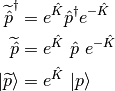 \widetilde{\hat{p}}^{\dagger} &= e^{\hat{K}} \hat{p}^{\dagger} e^{-\hat{K}}\\
\widetilde{\hat{p}} &= e^{\hat{K}} \ \hat{p} \ e^{-\hat{K}} \\
| \widetilde{p} \rangle &= e^{\hat{K}} \ | p \rangle